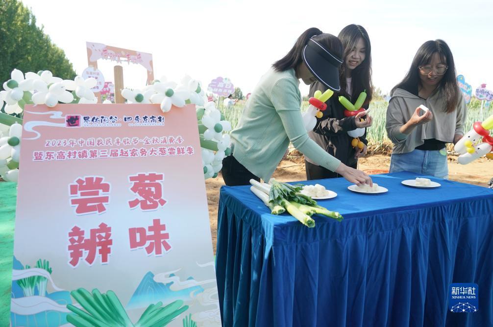 百家乐免佣什么意思